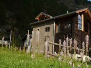 wallis-saastal-saas-grund-ferien-capricorn