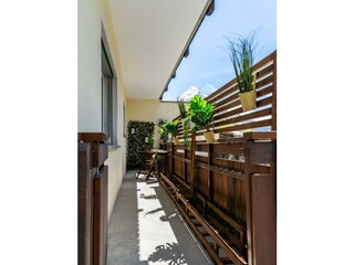 0032__DSC9174_Falke_Exterior_puzzlemedia.ch Groß