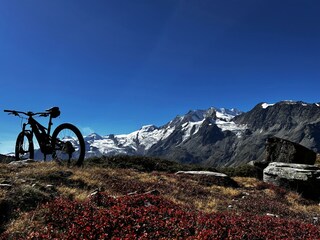 Mountainbike Leidenschaft