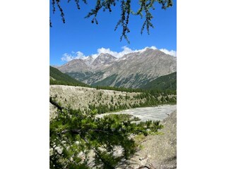 PHOTO-2023-08-08-11-14-49 - Kopie