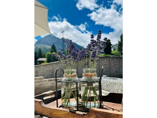 PHOTO-2023-08-08-11-14-49_08