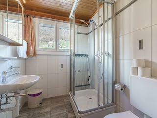 Saas-Fee - Haus Alfa (812) (4 of 11)