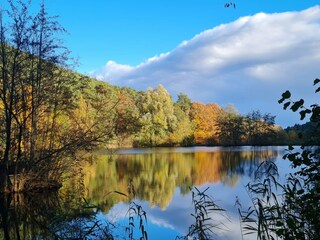 Landschaftsweiher