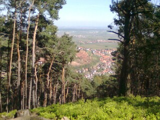 Blick auf St. Martin