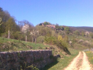 Wanderweg zur Kropsburg