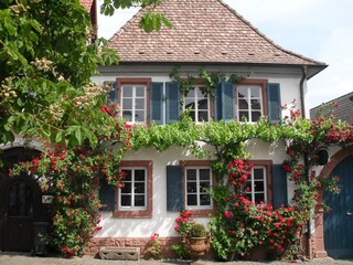 Typisches Winzerhaus
