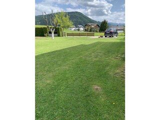 IMG-3202