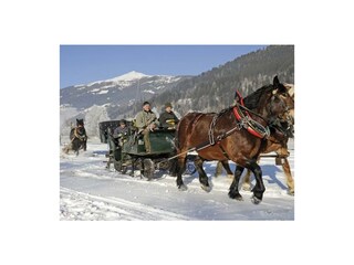 3 Kutschenfahrt, Abholung vom Haus möglich