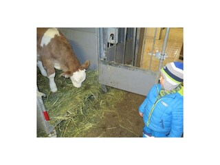 5 Jakob hilft im Stall mit