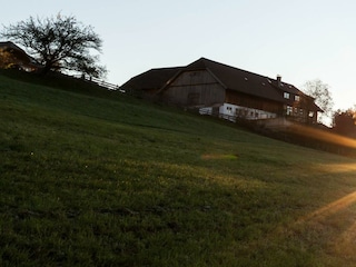 Schlicknhof-Mariapfarr_Lungau_Sommer_IMG_3307-2