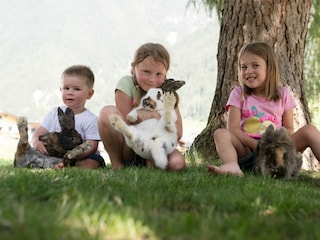 Ladestatthof-Kinder-Hasen-4