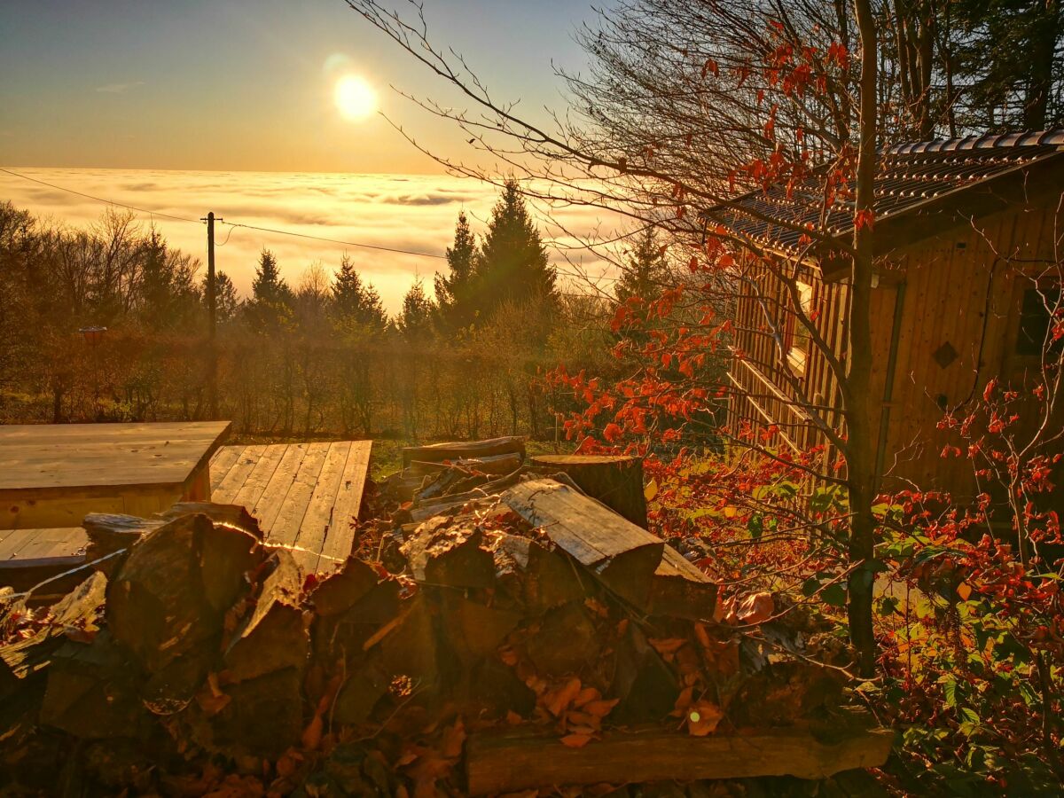 Blick von der Terrasse