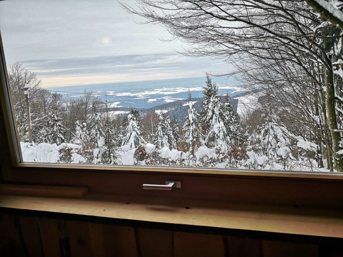 Ihre Sauna mit Winter-Ausblick