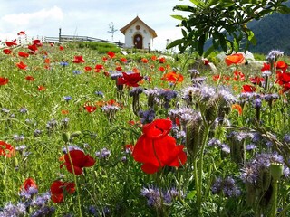 Kapelle mit Wiese