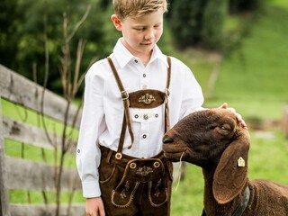 113) Leon mit Schaf