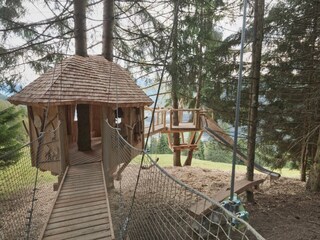 Schlick2000_Loewenzahm_naturidea_Baumhausweg__2_