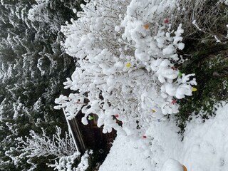 weiße Ostern