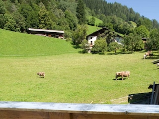 Appartement Kleeblatt Balkon mit Ausblick