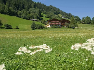 Pension Ladestatthof im Sommer