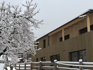 frechdax apartments stubai