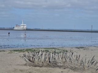 Maison de vacances Carolinensiel Environnement 21