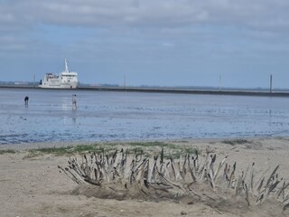 Wattenmeer, Wattwanderung