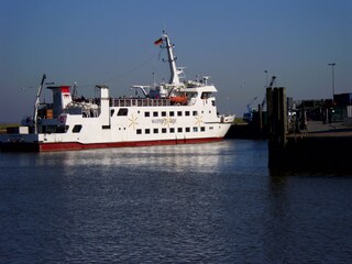 Casa de vacaciones Carolinensiel Entorno 22