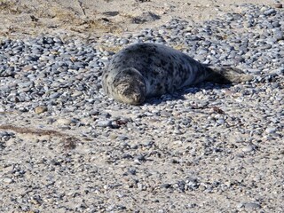 Vakantiehuis Carolinensiel Omgeving 25
