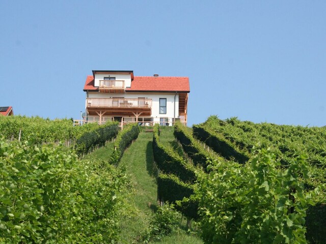 Rebenchalet in St. Anna