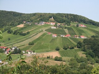 IMG_6823