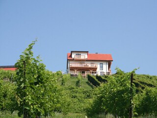 IMG_6819