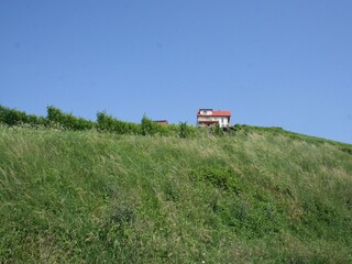 IMG_6751
