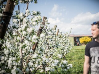 lind_werbefotos-ready-_DSC1130