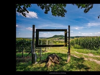 Weinberg-Blick auf Kindsberg