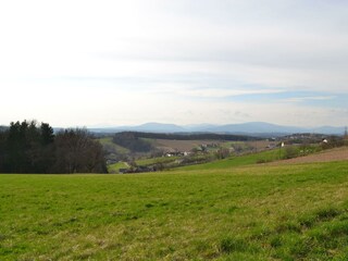 DSC_0393
