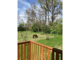 WhatsApp Image 2024-07-09 at 11.56.13