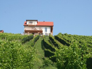 Rebenchalet in St. Anna