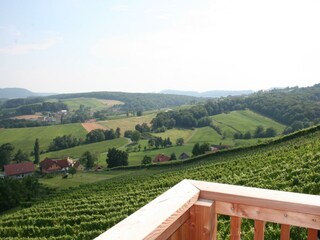 IMG_6669