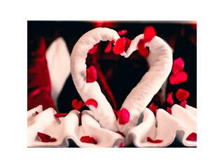 Handtuchherz