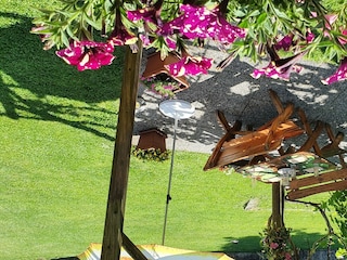 Terase unter Weinlaube