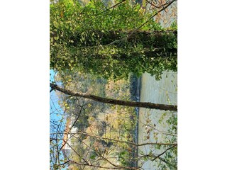 Blick auf Schloß Trate