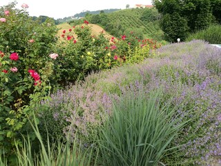 Gartenblick im Landhaus