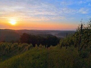 Morgenstimmung in Kapfenstein