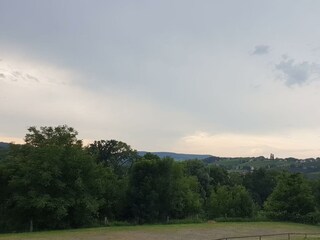 Ausblick