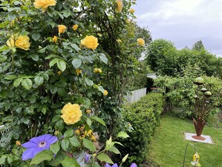 Gartenanlage