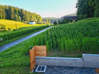 Blick aus dem Schlafzimmerfenster