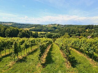 vor der Bergschenke Monschein oberhalb des Chalets
