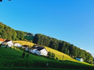 Blick aus dem Küchenfenster