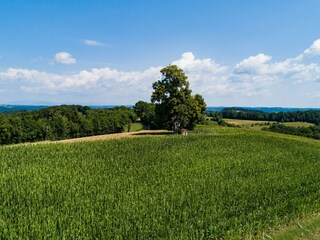 Spaziergang in der Umgebung