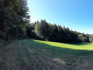 Waldlichtung ein paar Gehminuten entfernt
